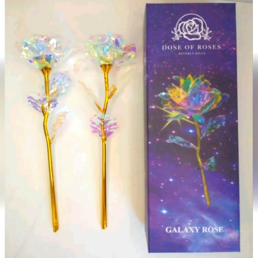Dose Of Roses Beverly Hills Single Rose